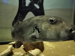 -欢乐海岸海洋奇梦馆