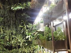 -森味薪火烧•烧鸟居酒屋•日本料理(望京店)