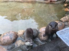 -杭州野生动物世界