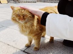 -红螺寺