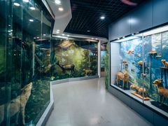 -下渚湖国家湿地公园科普馆