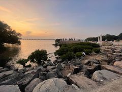 -宝安西湾红树林湿地公园