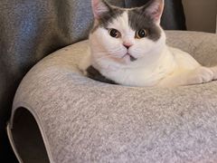 -丹阳眼镜总店(观前街店)