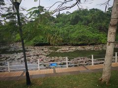 -白沙门生态公园