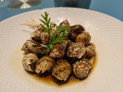 捞汁花螺-老城味道·传统天津菜(杨柳青店)