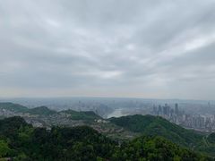 -大金鹰园