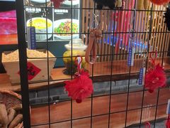 -8号厚厨(凤凰店)