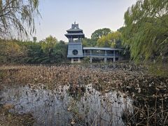 -金鸡湖桃花岛