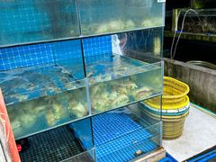 -鸿港海鲜批发市场