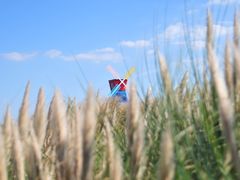 -漩门湾国家湿地公园