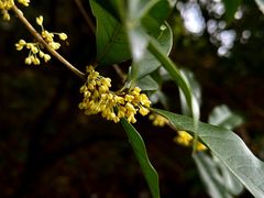 -宁波市保国寺古建筑博物馆