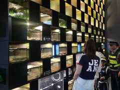 -太平洋海底世界