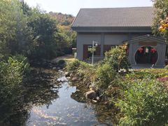 -白马涧龙池景区