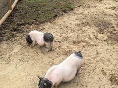 -南戴河国际娱乐中心