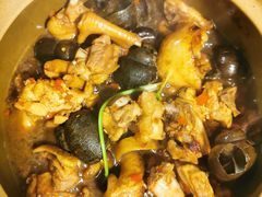 -食爺炭炉鸡煲·烧烤