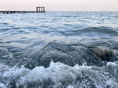 -贡湖湾湿地公园