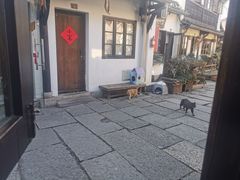 门面-小河无名面馆