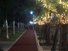 -聚龙湖公园