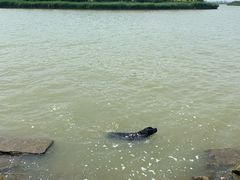 -天津东丽湖风景区