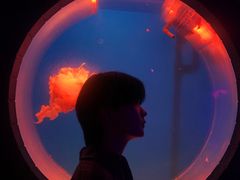 -南昌海洋公园