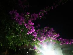 -海韵人家.海景花园经典云南菜(双廊店)