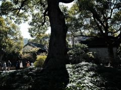 -惠山古镇·寄畅园