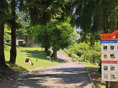 -神户市立六甲山牧场