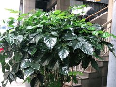 -泉乐坊步行街(烟酒特产平价超市店)