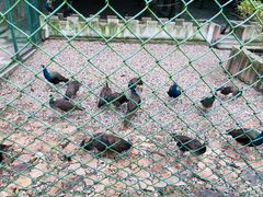 -南京金牛湖风景区