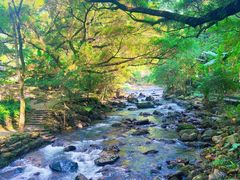 -广州市石门国家森林公园