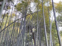 -杭州黄龙洞
