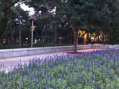 -长春市南湖公园