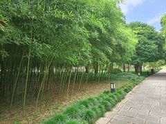 -上海方塔园