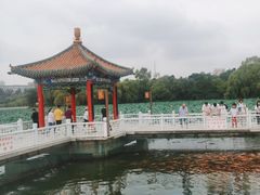 -长春市南湖公园