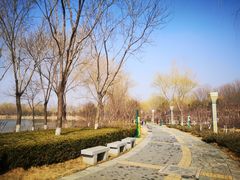 -燕郊植物园