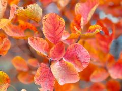 -北京十三陵国家森林公园蟒山景区