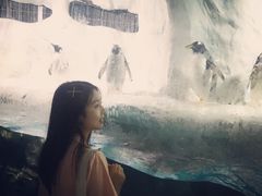 -南昌海洋公园