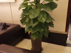 -大蓉和(双楠店)