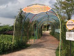 -云漫湖生态度假公园