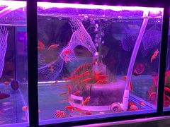 -三旗百汇商品城