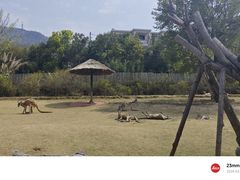 -泉州海丝野生动物世界