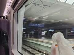 -上海大学附属上海和平眼科医院