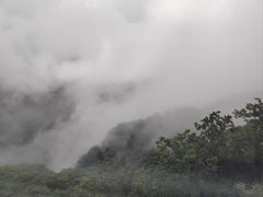 -牛背梁国家森林公园