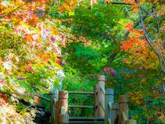 -九如山休闲旅游度假区