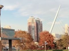 -台场海滨公园船码头