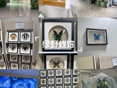 -深圳龙华星河COCO City(民治店)