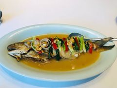 潮汕半煎煮马友鱼-潮上潮(南中环店)