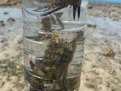 -三亚西岛海洋文化旅游区