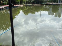 -会江钓鱼钓虾烧烤场