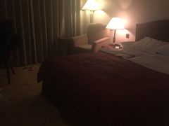 -成都天府丽都喜来登饭店